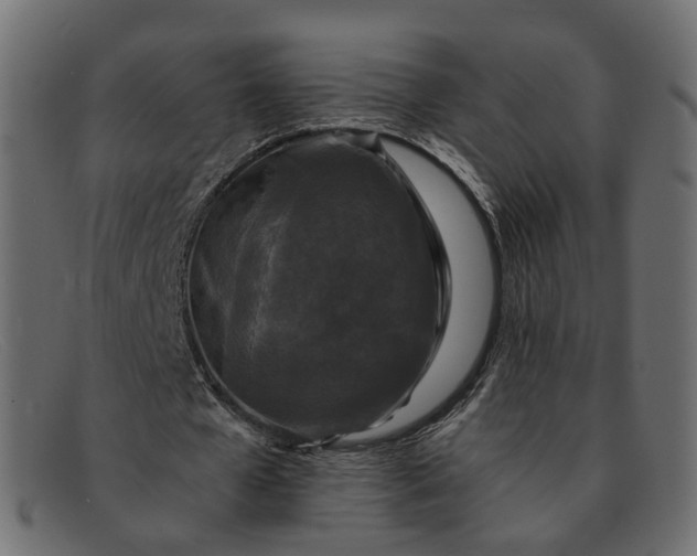 X0000091880577200709191158