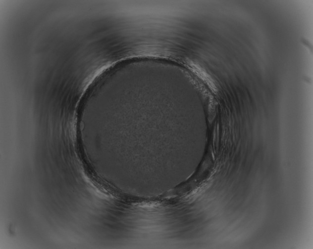 X0000091880580200709191158