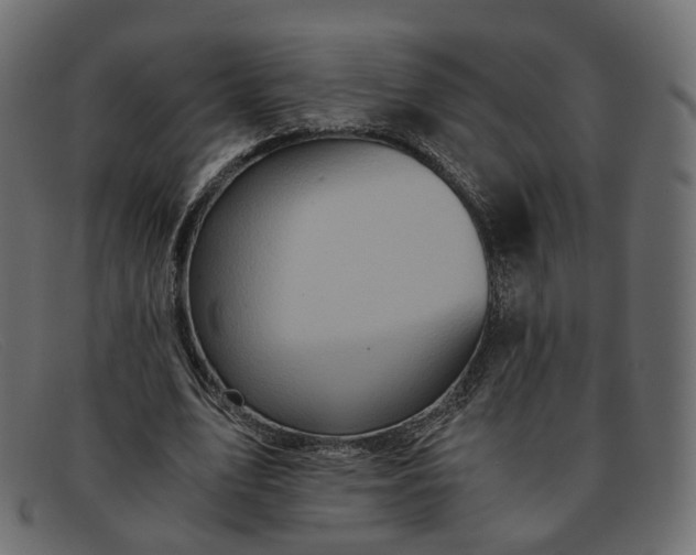 X0000091880583200709191158