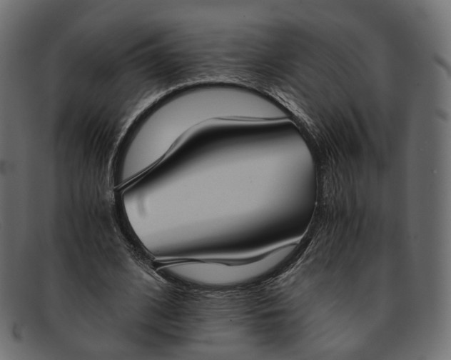 X0000091880584200709191158