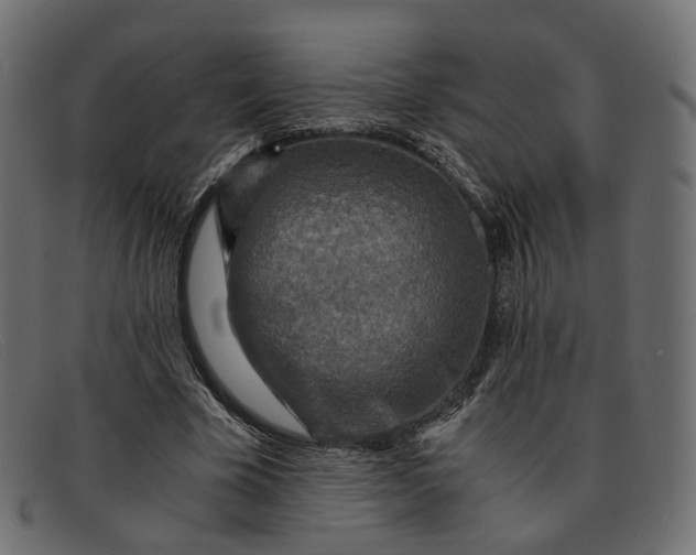 X0000091880585200709191158