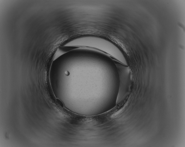 X0000091880589200709191158