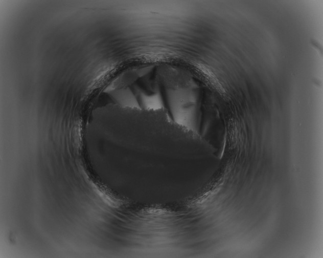 X0000091880590200709191158