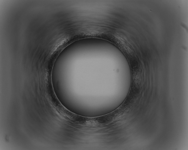 X0000091880591200709191158