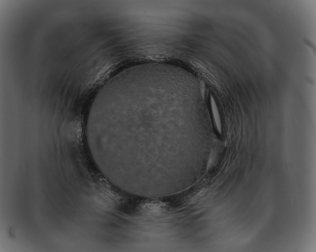 X0000091880595200709191158