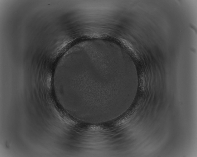 X0000091880596200709191158