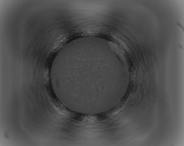 X0000091880599200709191158