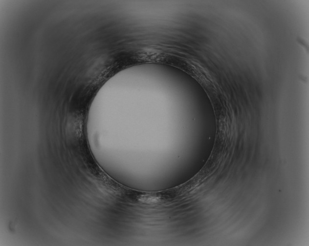 X0000091880602200709191158