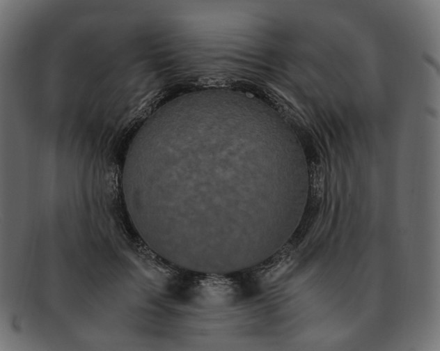 X0000091880603200709191158