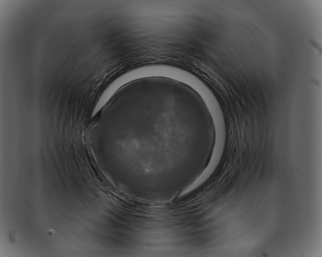 X0000091880604200709191158