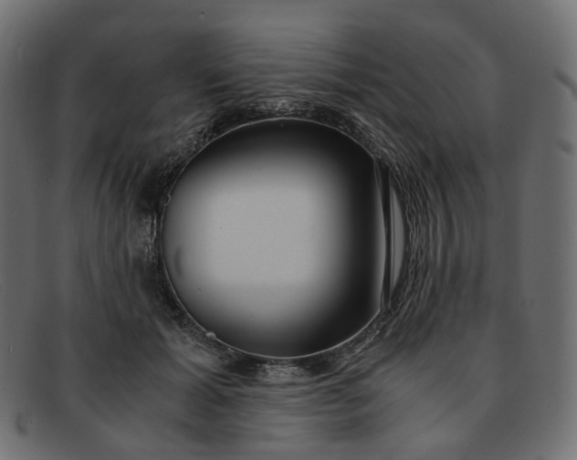 X0000091880605200709191158