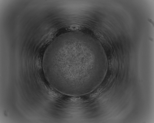 X0000091880606200709191158