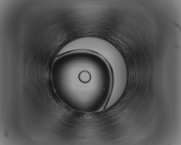 X0000091880608200709191158