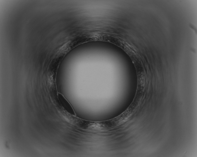 X0000091880611200709191158