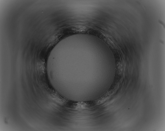 X0000091880612200709191158