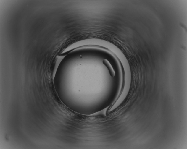 X0000091880613200709191158