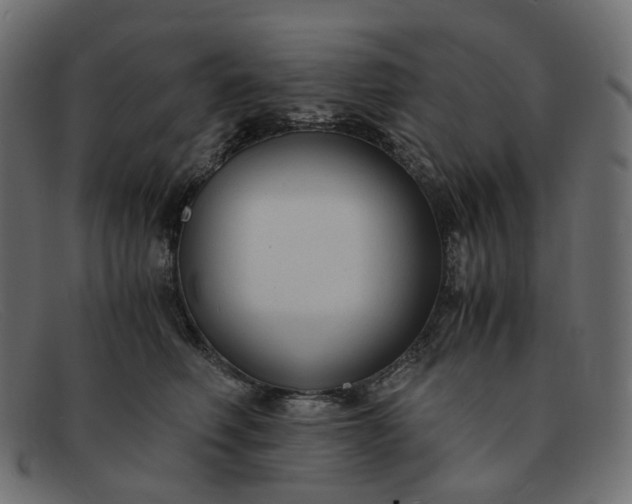 X0000091880614200709191158