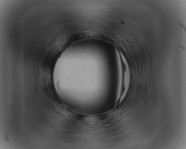 X0000091880615200709191158