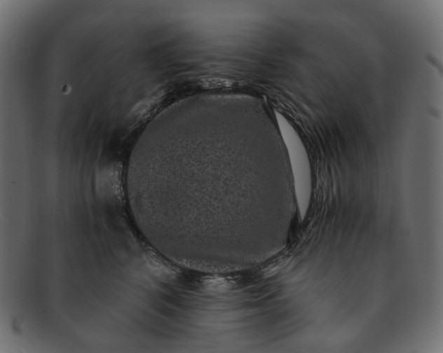 X0000091880616200709191158