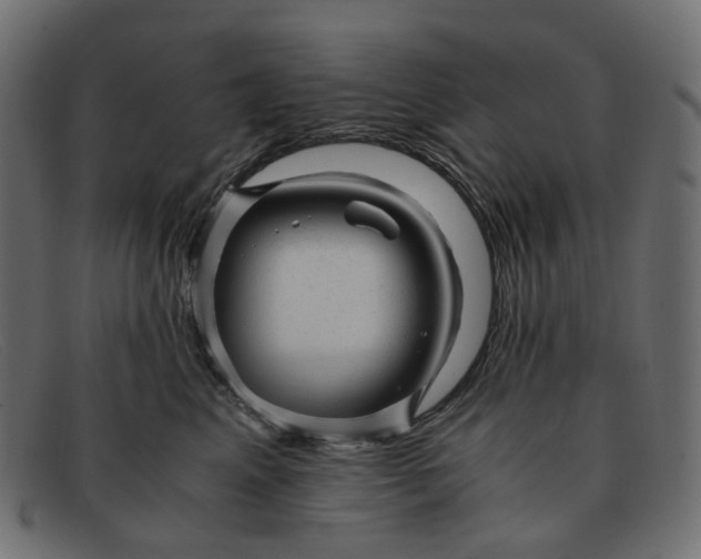 X0000091880617200709191158