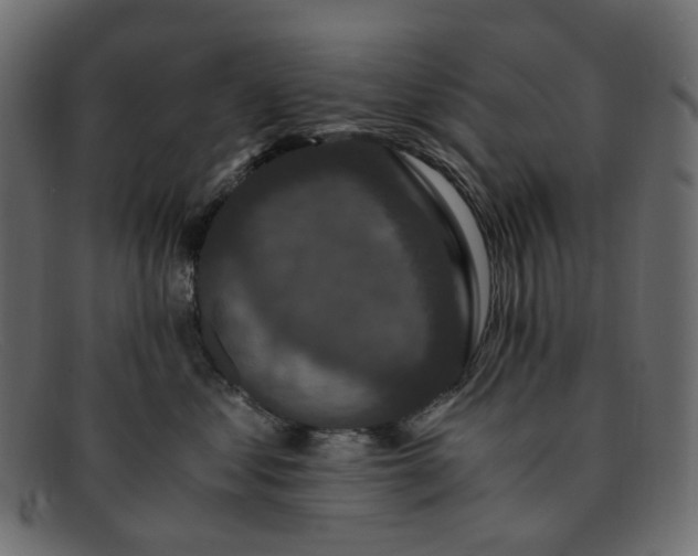 X0000091880621200709191157