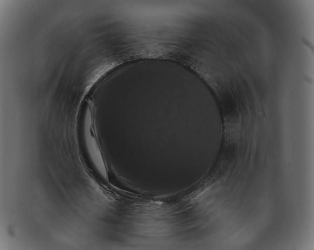 X0000091880626200709191157