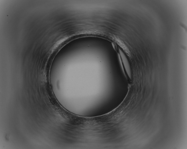 X0000091880628200709191157