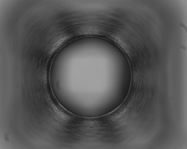 X0000091880629200709191157