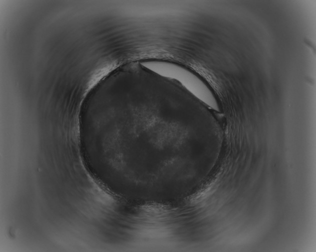 X0000091880630200709191157