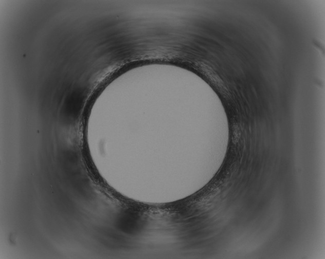 X0000091880632200709191157