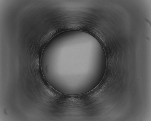 X0000091880633200709191157