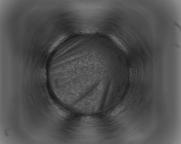 X0000091880634200709191157