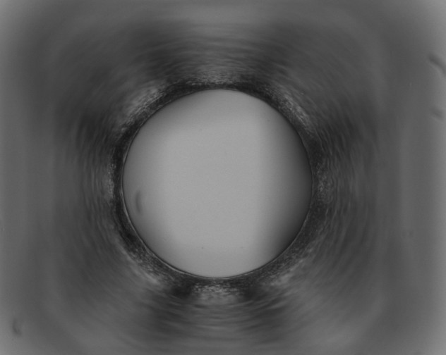 X0000091880635200709191157