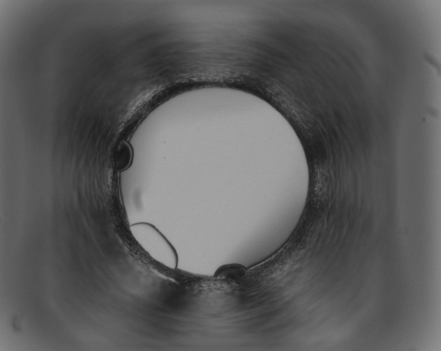 X0000091880636200709191157