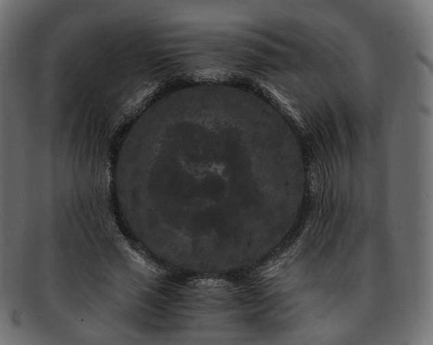 X0000091880637200709191157