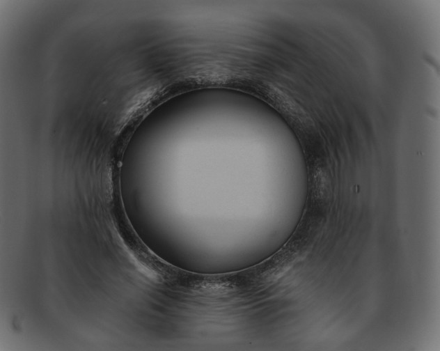 X0000091880638200709191157