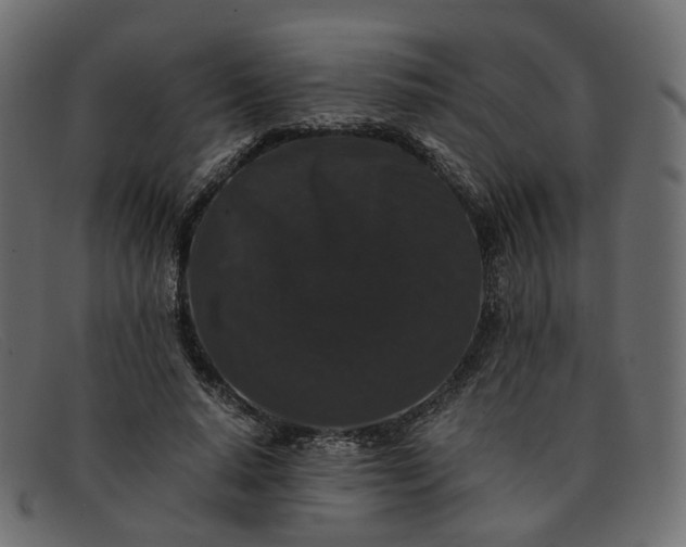 X0000091880640200709191157