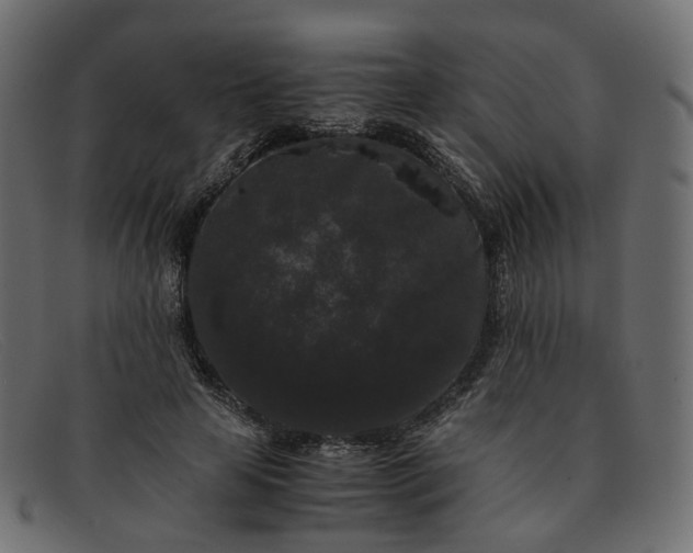 X0000091880641200709191157