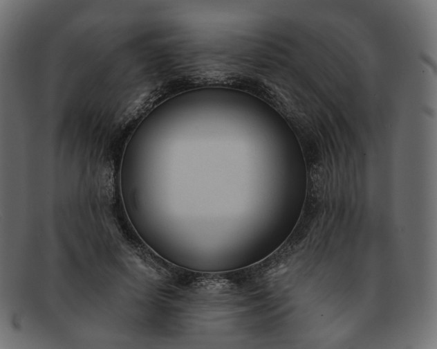 X0000091880642200709191157