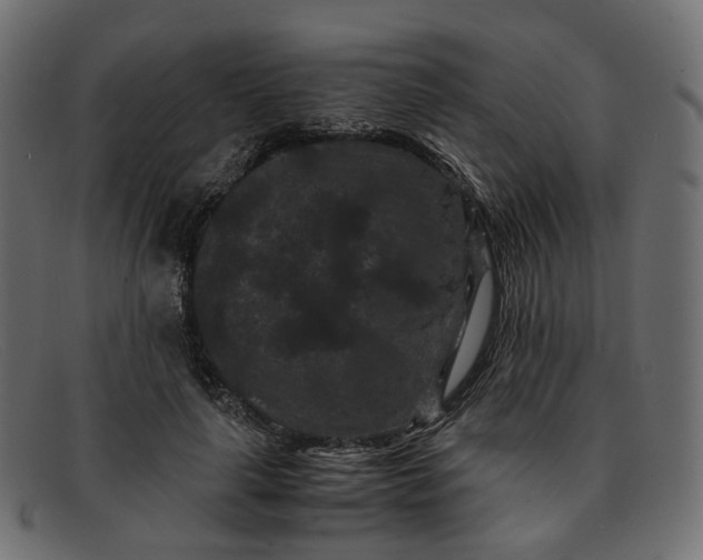 X0000091880643200709191157