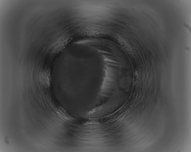 X0000091880644200709191157