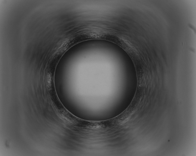 X0000091880646200709191157