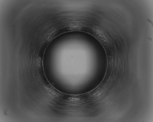 X0000091880649200709191157