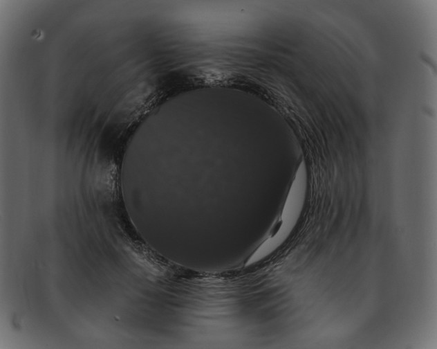 X0000091880650200709191157