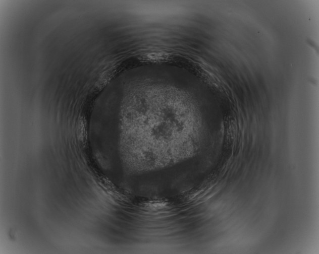 X0000091880651200709191157