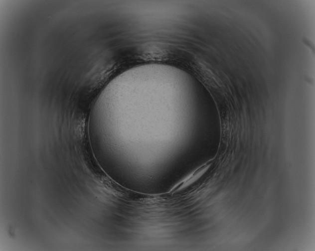 X0000091880652200709191157