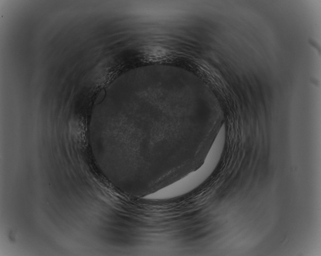 X0000091880653200709191157