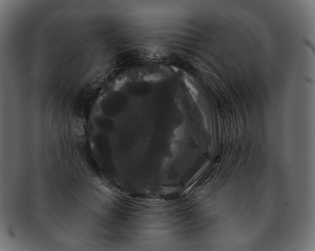 X0000091880654200709191157