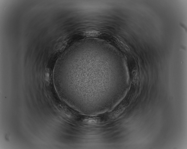 X0000091880655200709191157