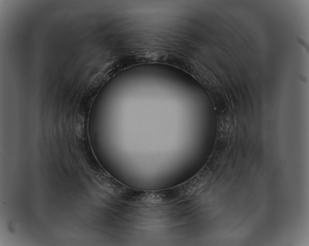 X0000091880656200709191157